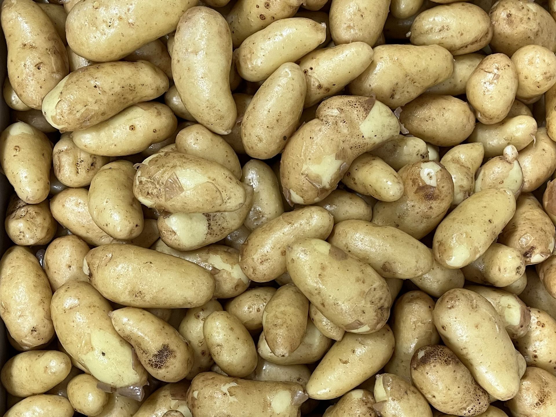 Rattes primeurs du GAEC de GRUEL