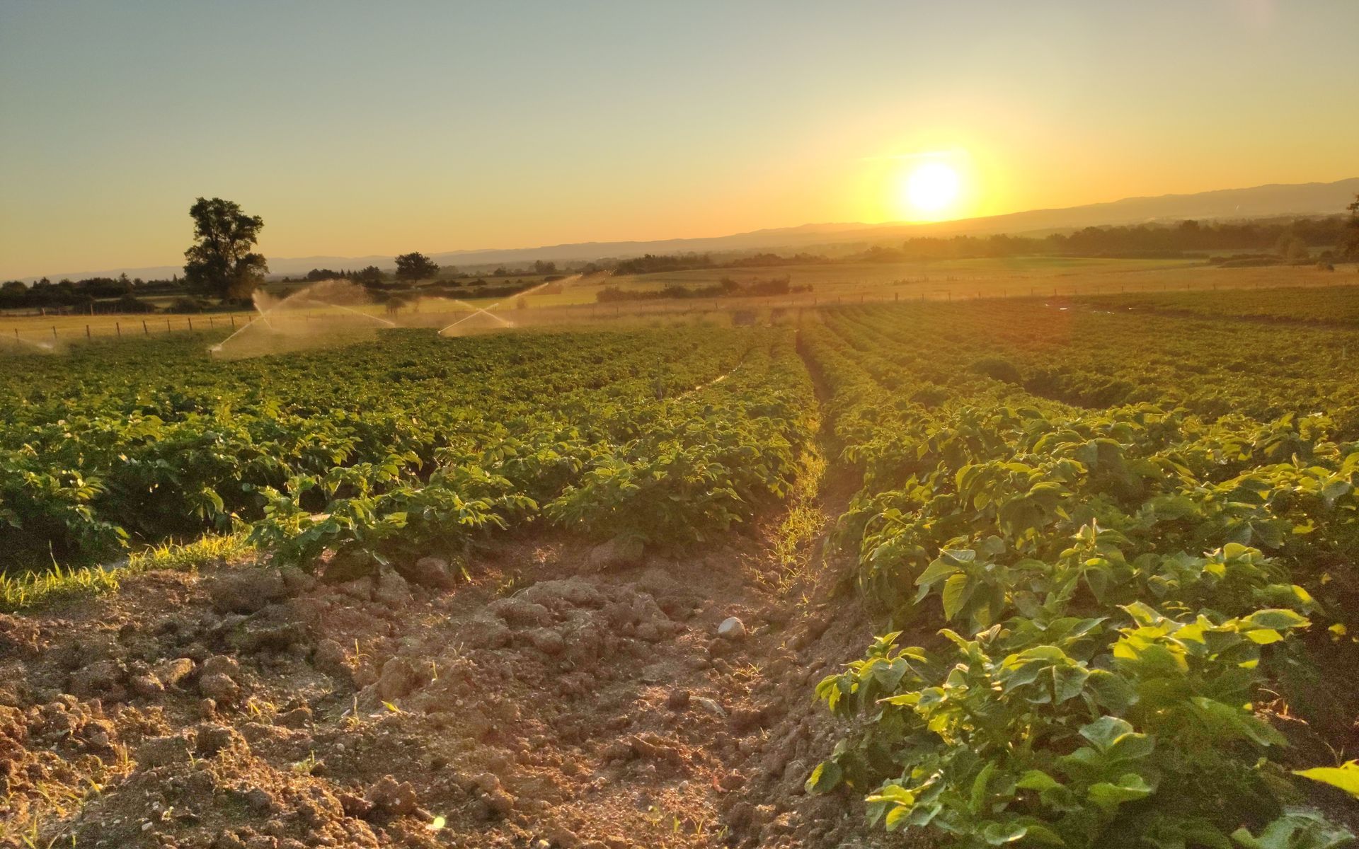 Le GAEC de Gruel à Gumières