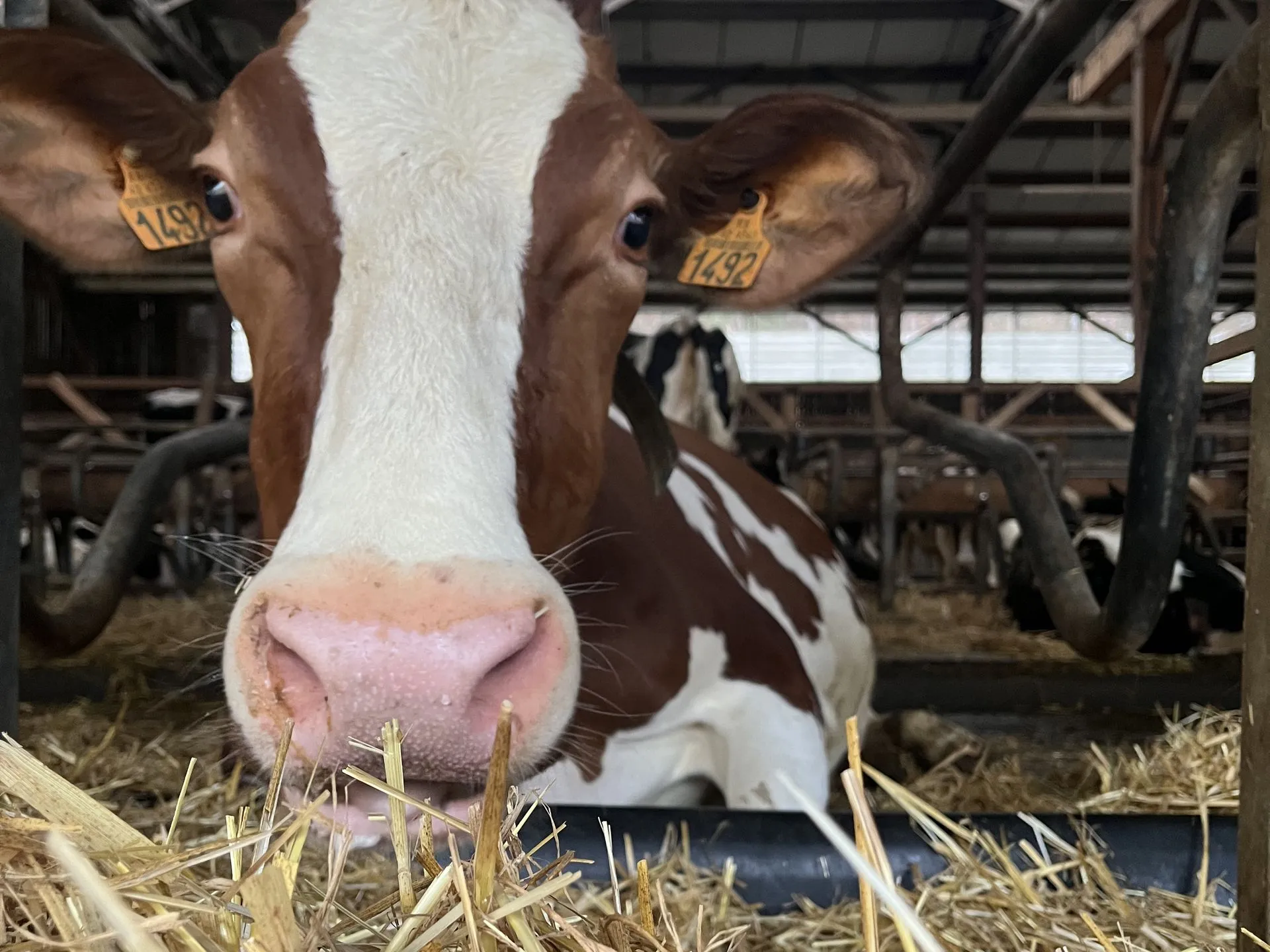 La polyculture au GAEC