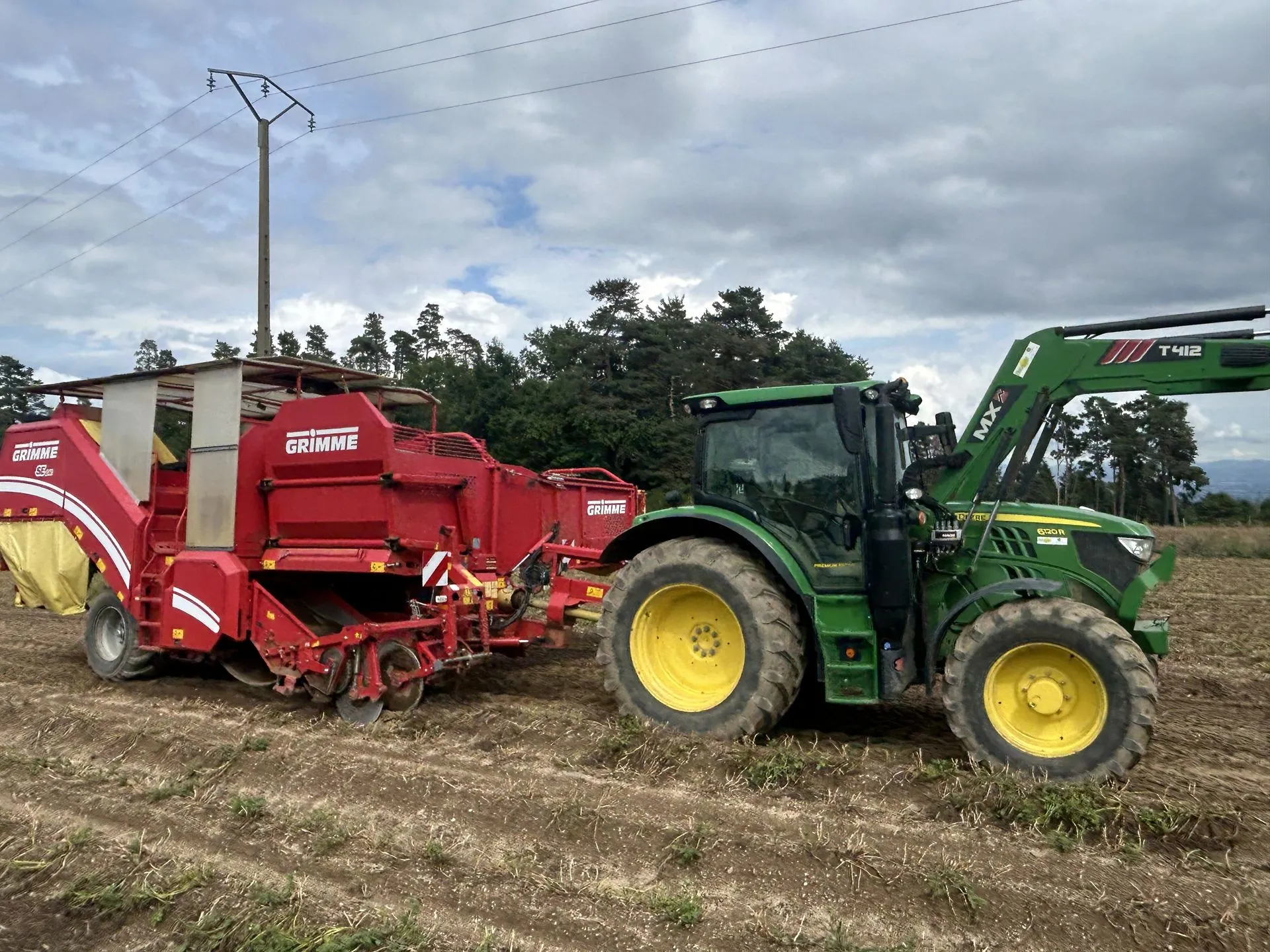 Pomme de terre de semence, c'est quoi exactement ?